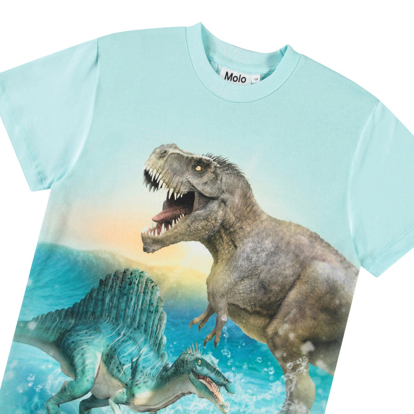 Molo Roxo Dino Splash Tee