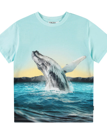 Molo Rame Whale Jump Tee