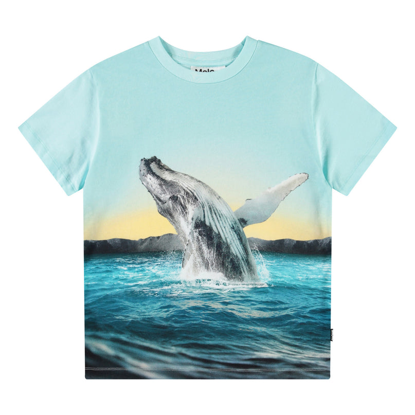 Molo Rame Whale Jump Tee