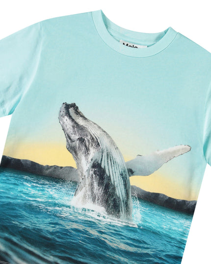 Molo Rame Whale Jump Tee