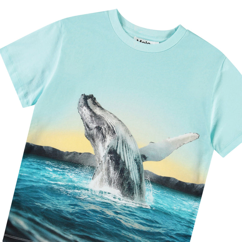 Molo Rame Whale Jump Tee