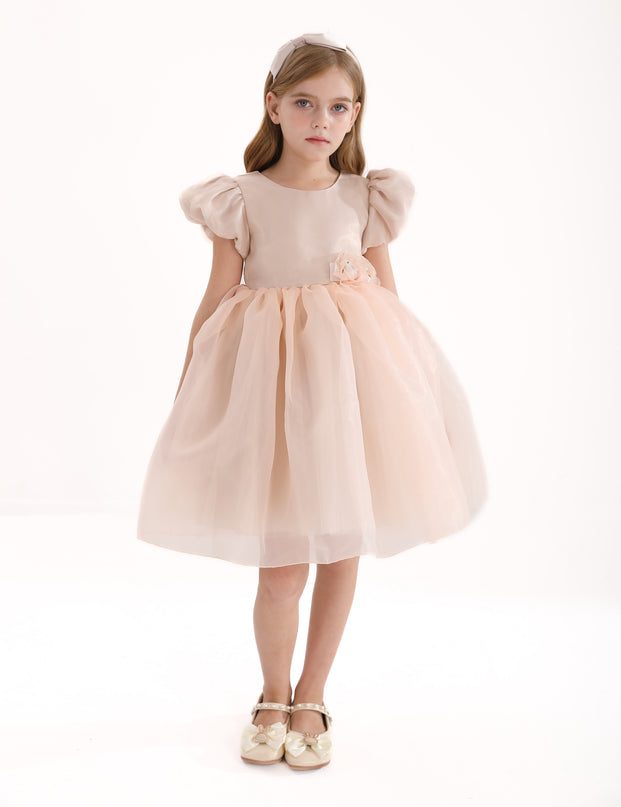 Champagne D'Amico Floral Teacup Dress