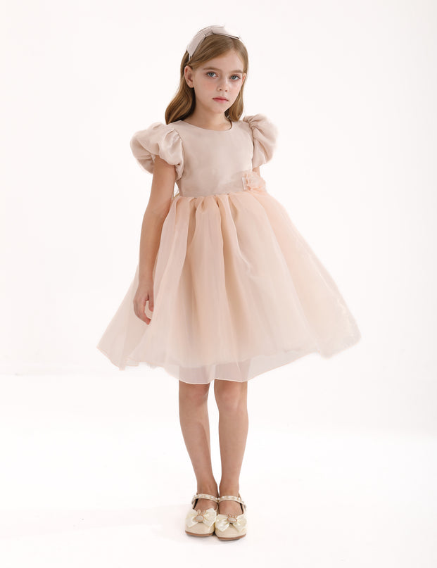 Champagne D'Amico Floral Teacup Dress