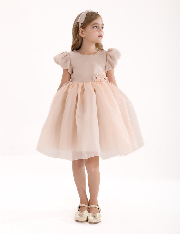 Champagne D'Amico Floral Teacup Dress