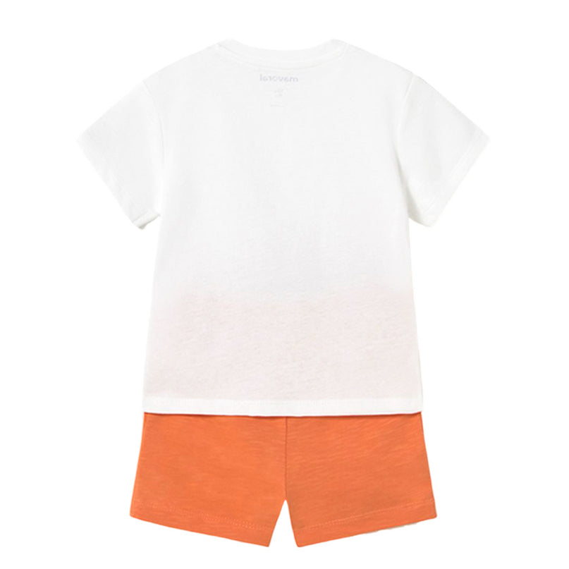 Baby Shorts and Surf T-Shirt Set