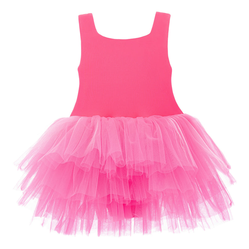 Pink French Rose Tutu Dress