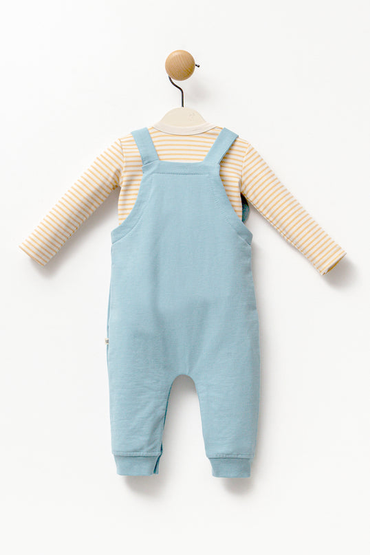 Blue Tiger Overalls Outfit