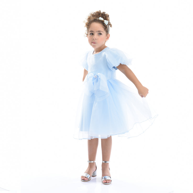 Blue Bow Organza Dress