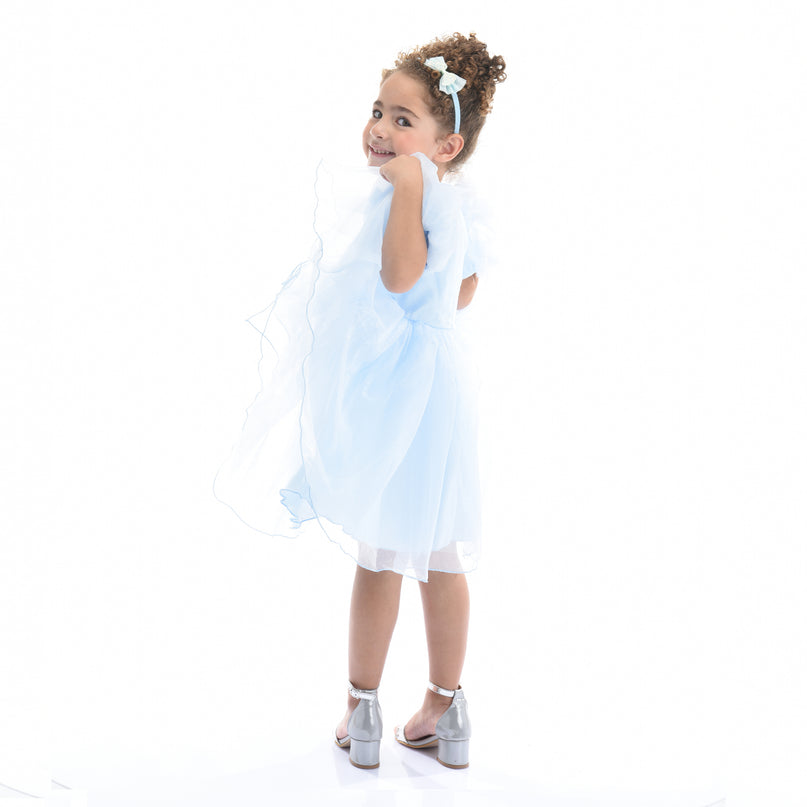 Blue Bow Organza Dress