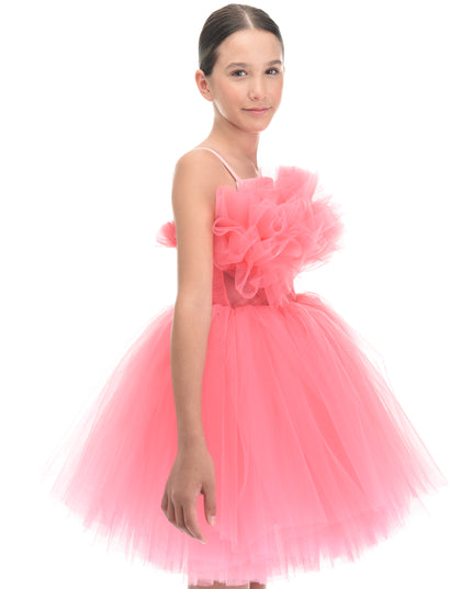 Pink Ruffle Scalleta Dress