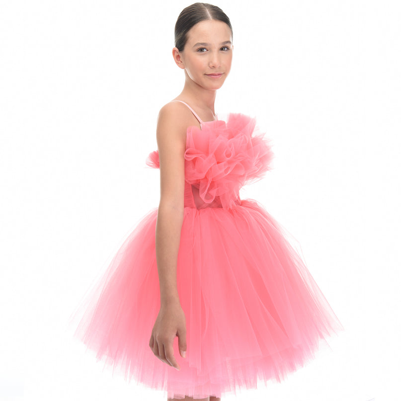 Pink Ruffle Scalleta Dress