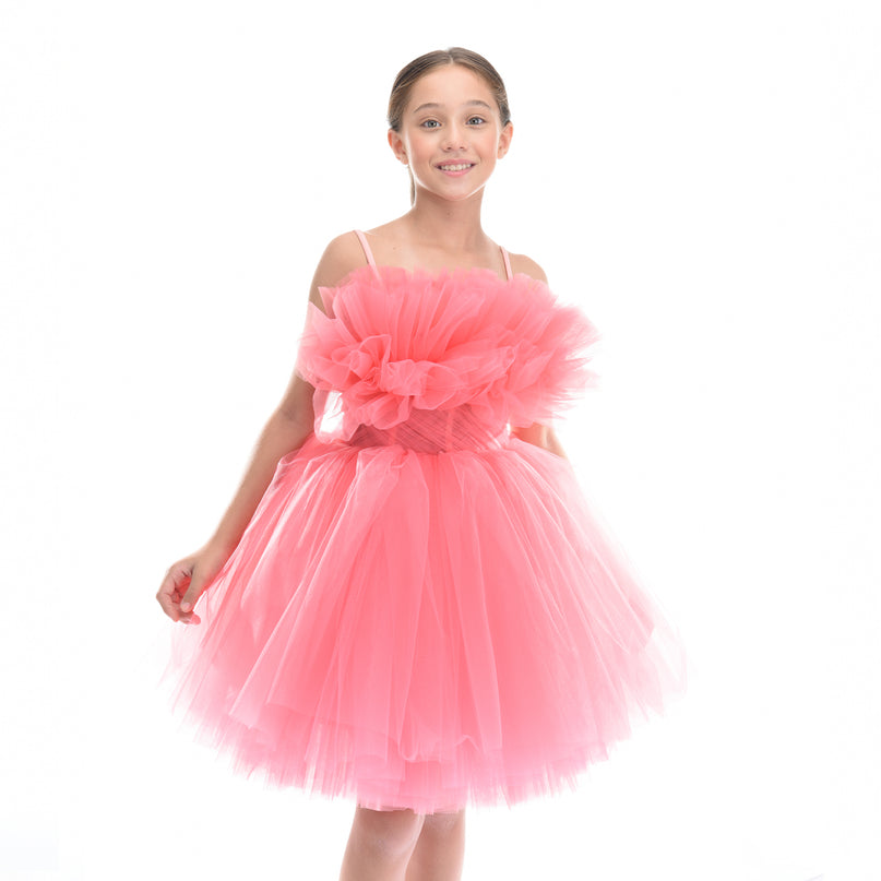 Pink Ruffle Scalleta Dress