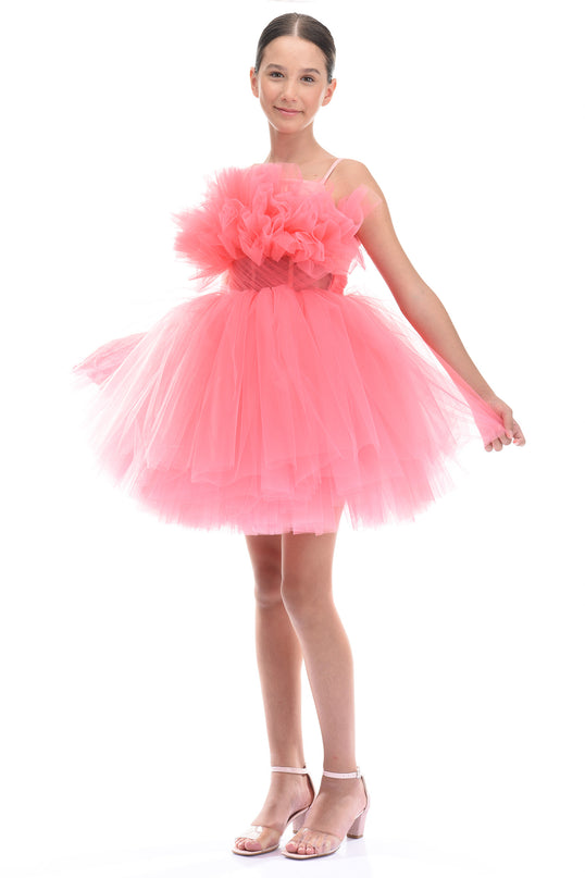 Pink Ruffle Scalleta Dress