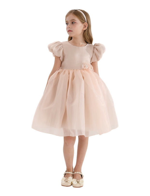 Champagne D'Amico Floral Teacup Dress