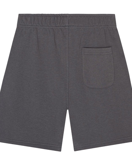 Gray Adian Shorts