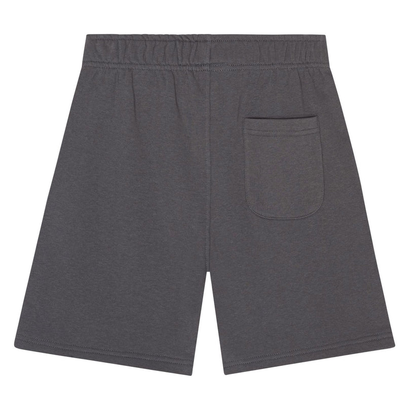 Gray Adian Shorts