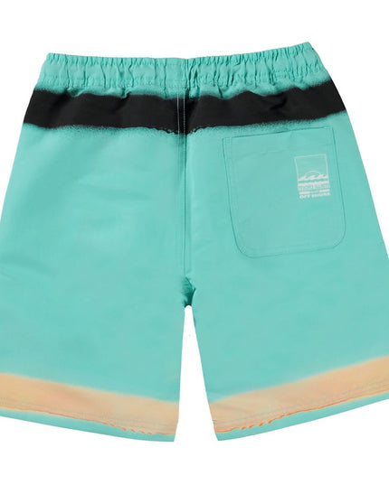 Green Nilson Swim Shorts