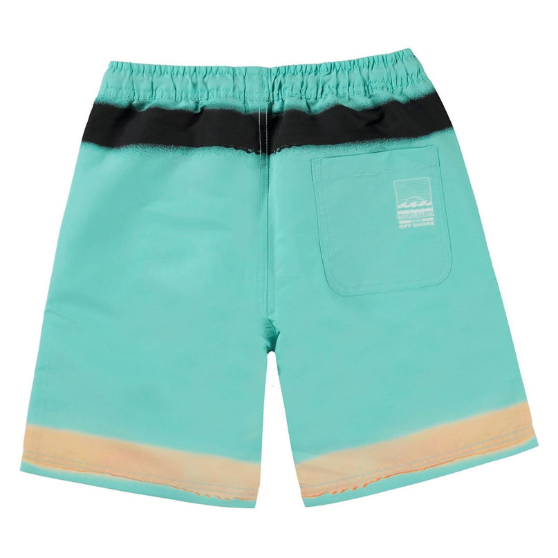 Green Nilson Swim Shorts