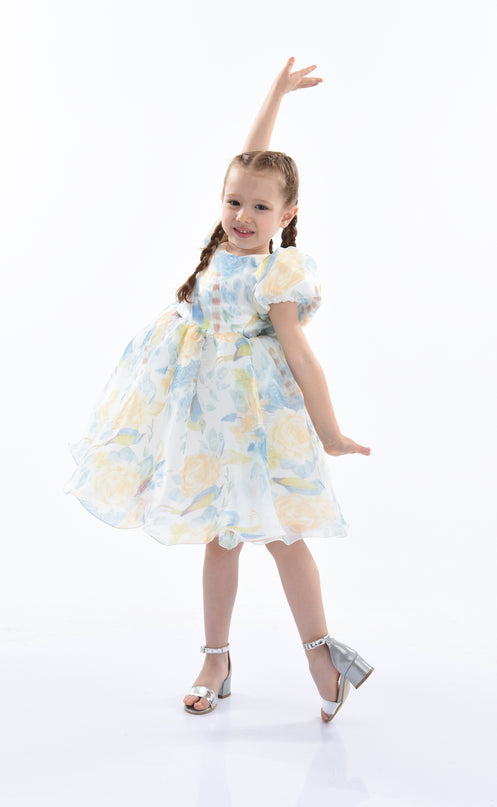 kids-atelier-tulleen-kid-girl-blue-chablis-floral-garden-organza-dress-tt919-blue