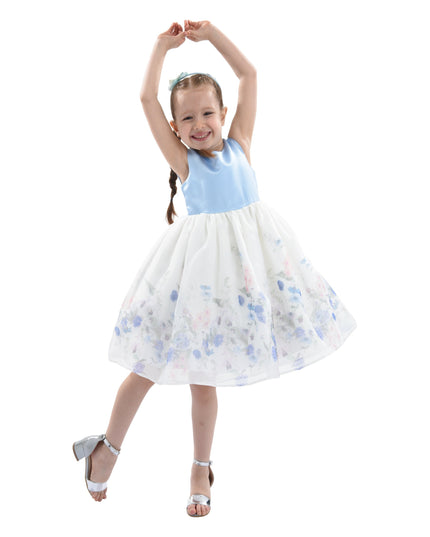 Blue Mabel Floral Garden Organza Dress