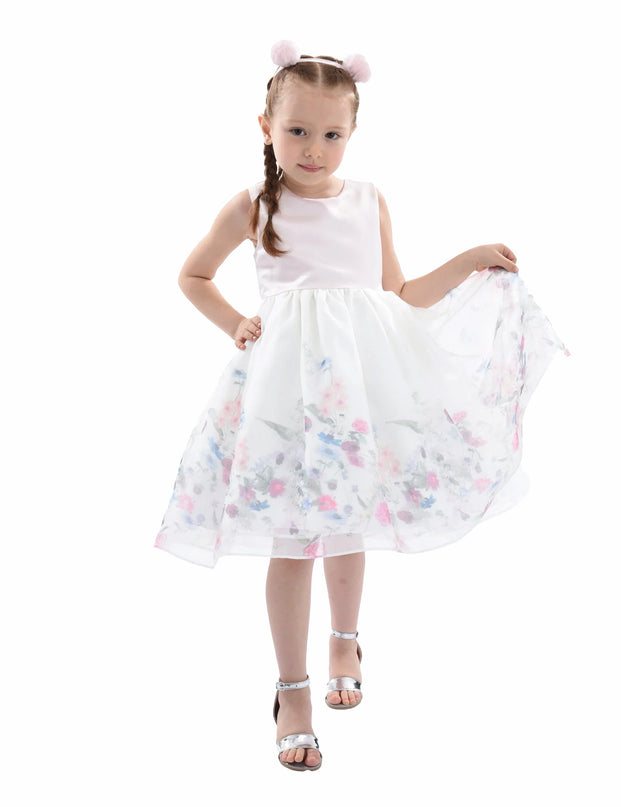 Pink Mabel Floral Garden Organza Dress