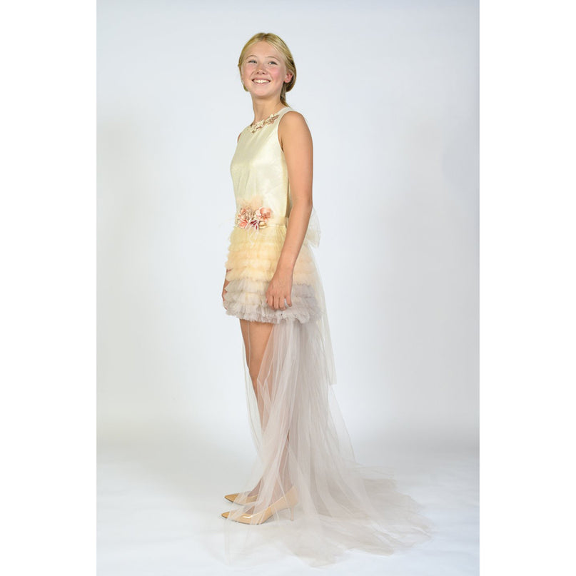 Champagne Euclid Dress