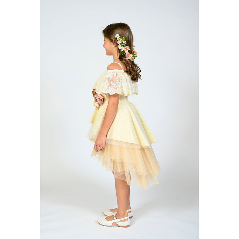 kid girl yellow tulleen dress