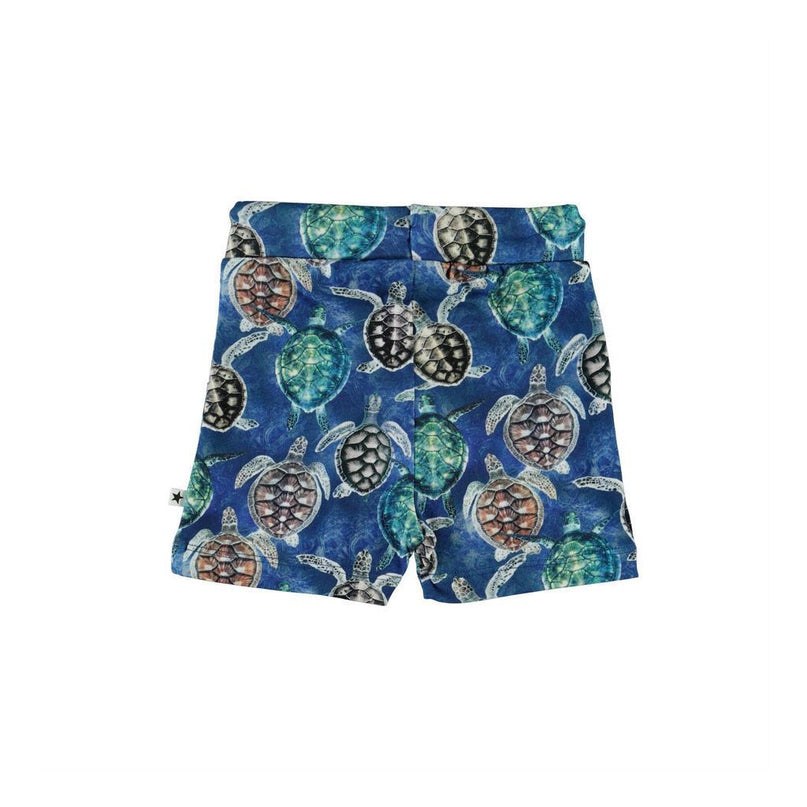 Blue Turtle Print Shorts