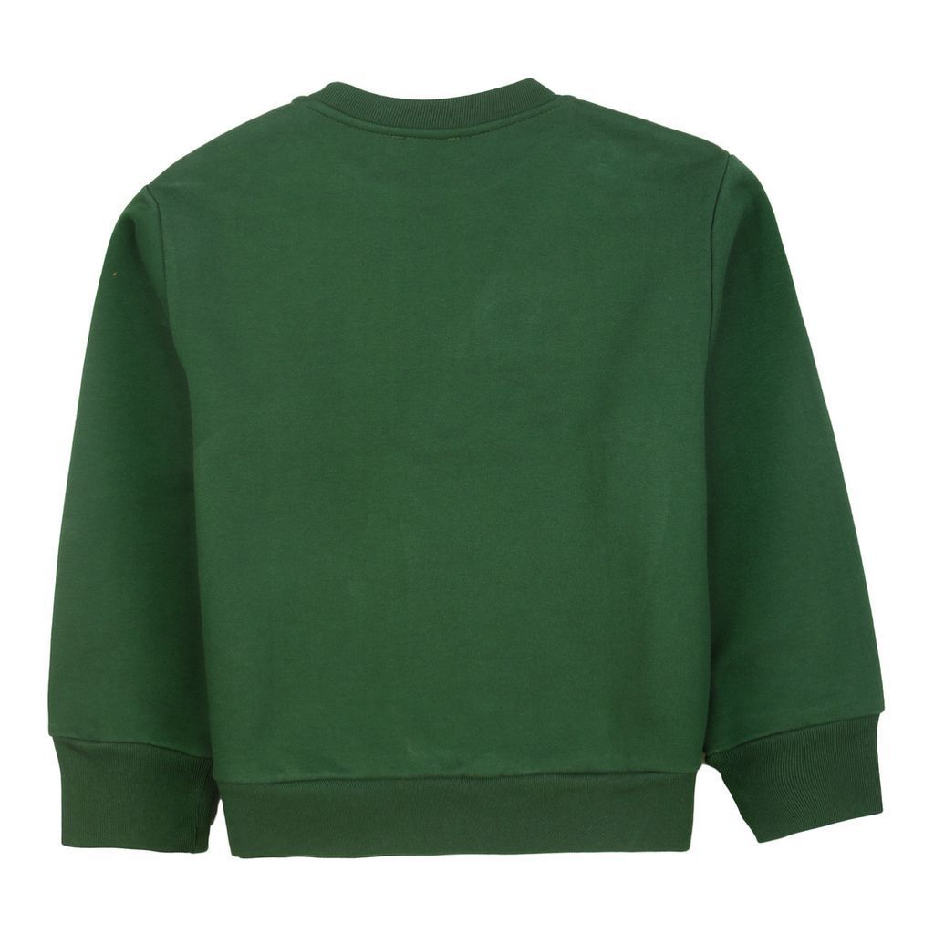 Sweater DIESEL Kids color Green