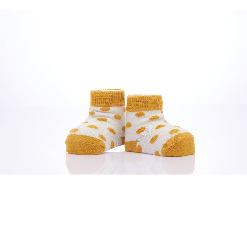 kids-atelier-banblu-gender-neutral-unisex-baby-boy-girl-yellow-3pc-koala-print-cotton-socks-set-15-01-0084