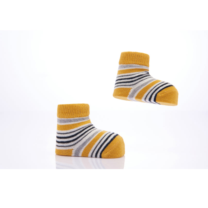 kids-atelier-banblu-gender-neutral-unisex-baby-boy-girl-yellow-3pc-koala-print-cotton-socks-set-15-01-0084