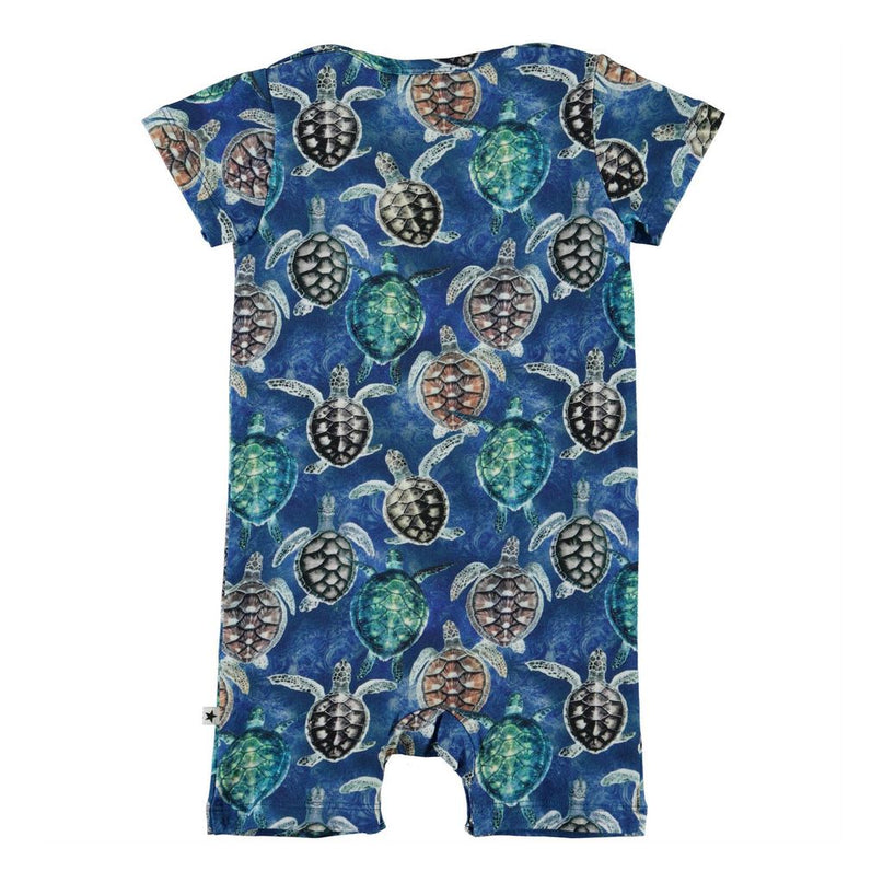 molo-blue-mini-turtles-bodysuit-3s21b402-6241